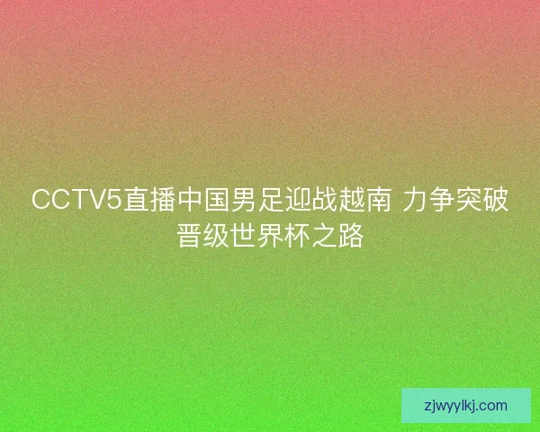 CCTV5直播中国男足迎战越南 力争突破晋级世界杯之路