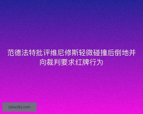 范德法特批评维尼修斯轻微碰撞后倒地并向裁判要求红牌行为