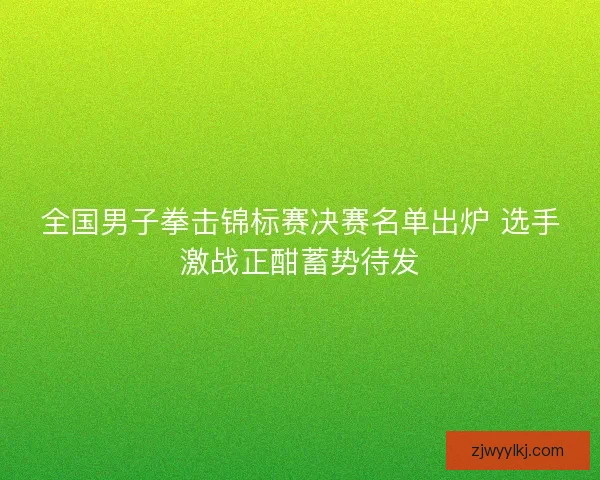全国男子拳击锦标赛决赛名单出炉 选手激战正酣蓄势待发