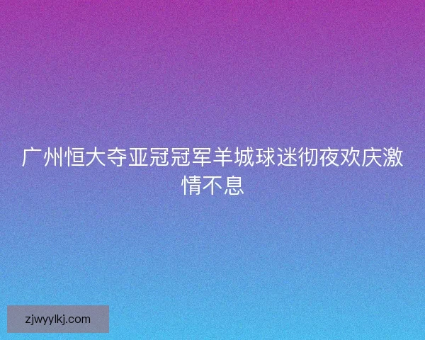 广州恒大夺亚冠冠军羊城球迷彻夜欢庆激情不息